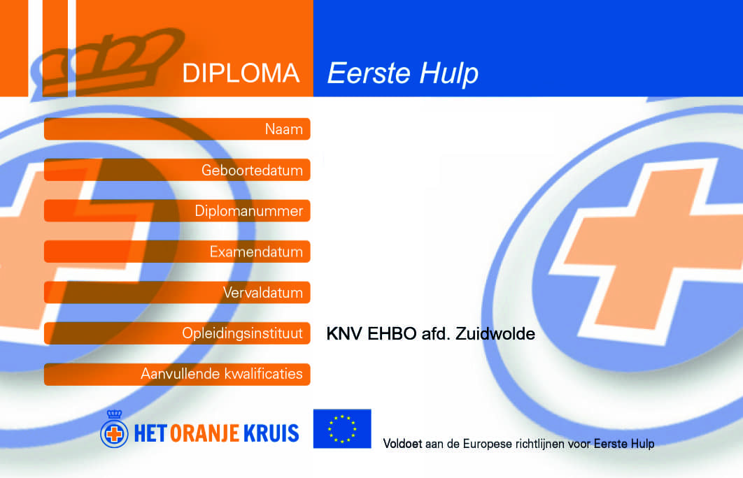 Diploma_94001333.pdf